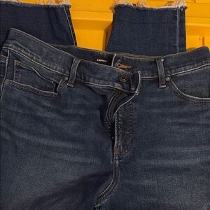Express Indigo Denim Jeans